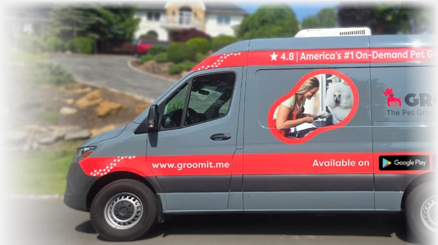 Top-Rated Pet Grooming Services and Expert Pet Groomers in Arizona